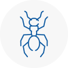 Ant Removals In Dorset