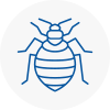 Bed Bug Extermination In Dorset