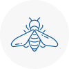 Bee Nest Removal Dorset