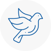 Bird Prevention Dorset