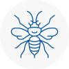 Dorset Hornet Nest Removals