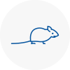 Mice Exterminators In Dorset