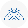 Moth Control Specialists In Dorset