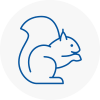 Dorset Rodent Removals